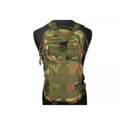 Assault Pack type backpack - woodland