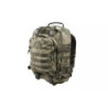 Wisport Whistler Special military backpack - A-TACS FG