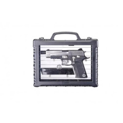 P-Virus pistol replica (LED Box)