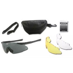 ICE 3LS protective glasses (kit)