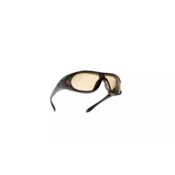 Raider Protective Glasses (Kit)