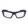 BAXTER Protective Glasses