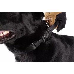 Tactical Dog Collar - Black