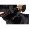 Tactical Dog Collar - Black