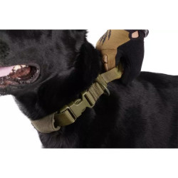 Tactical Dog Collar - Olive Drab