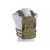 Plate Carrier w/ Removable Panel Tactical Vest - Olive Drab