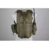 Assault Pack Laser-Cut USB - Olive Drab