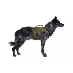 Tactical Dog Harness - Olive Drab