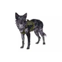 Tactical Dog Harness - Olive Drab