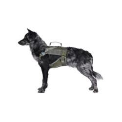 Tactical Dog Harness - Ranger Green