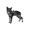 Tactical Dog Harness - Ranger Green