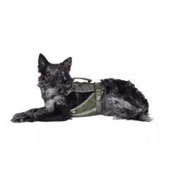 Tactical Dog Harness - Ranger Green