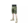 Ergonomic Fit Shorts - MC Tropic