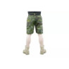 Ergonomic Fit Shorts - MC Tropic