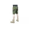 Ergonomic Fit Shorts - MC Tropic