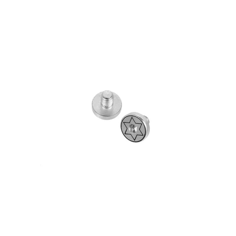 Set of 2 Screws for 1911 Replica Grip Panels - silver