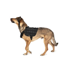 Light dog harness - black