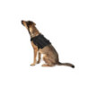 Light dog harness - black