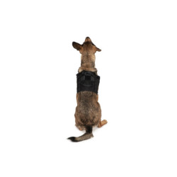 Light dog harness - black