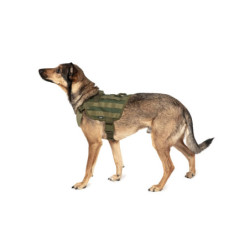 Light dog harness - olive