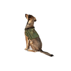 Light dog harness - olive