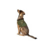 Light dog harness - olive