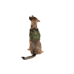 Light dog harness - olive