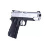 REF14769 pistol replica