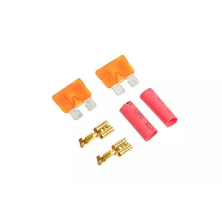 Set of 2 Fuses