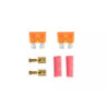 Set of 2 Fuses