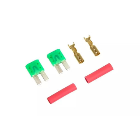 Set of 2 Mini Fuses